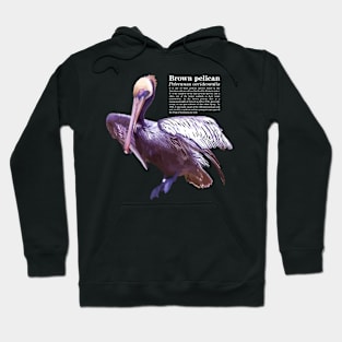 Brown pelican tropical bird white text Hoodie